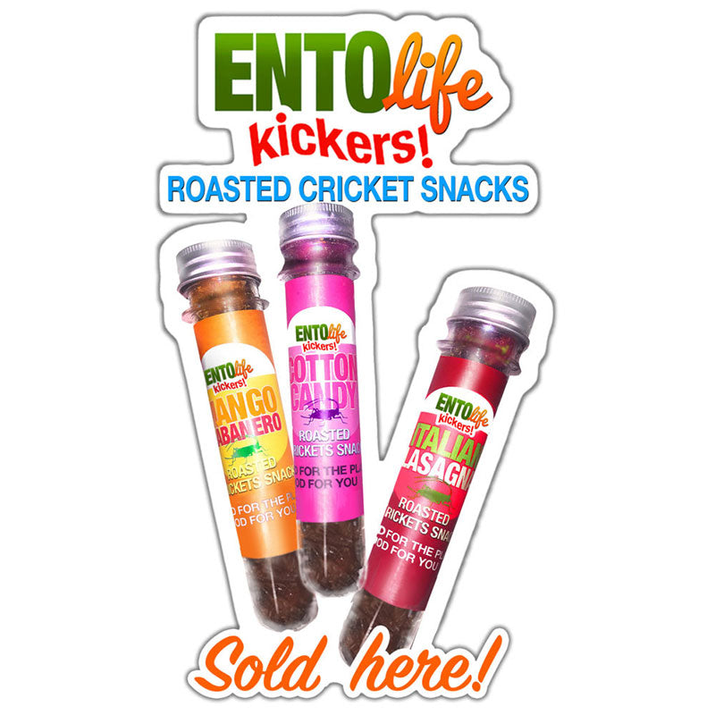 http://youcaneatbugs.com/cdn/shop/products/Mini-Kickers-Sold-Here_672ac211-6b2d-4b0f-87b5-5e6f62af8841_1200x1200.jpg?v=1603140271