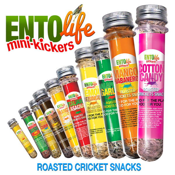 Mini-Kickers Flavored Whole Roasted Cricket Snack