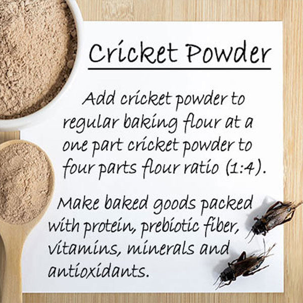 One Pound of Cricket Powder | Edible Insects | Bugs You Can Eat | Raised for Human Consumption