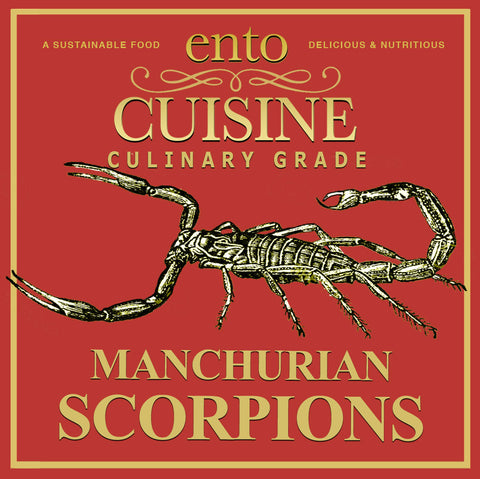 Culinary Quality Scorpions | 250 scorpions | Edible Insects | Edible Bugs