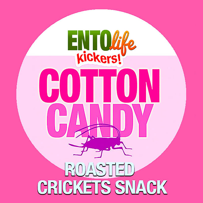 Mini-Kickers Cotton Candy Flavored Cricket Snack