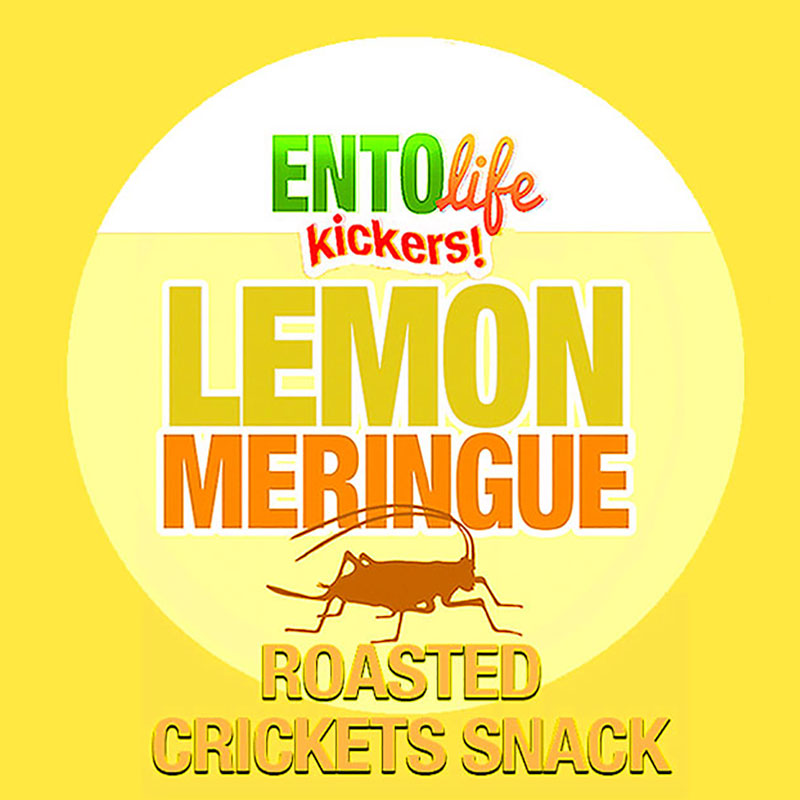 Mini-Kickers Lemon Meringue Flavored Cricket Snack