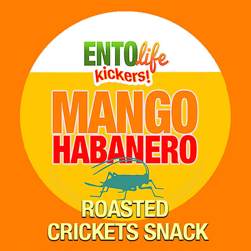 Mini-Kickers Mango Habanero Flavored Cricket Snack