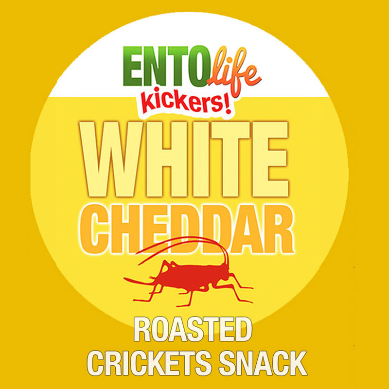 Mini-Kickers White Cheddar Flavored Cricket Snack