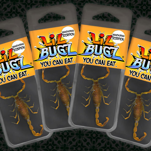Lil Bugs You Can Eat - Scorpion 4 Pack - Edible Insects farm raised for human consumption