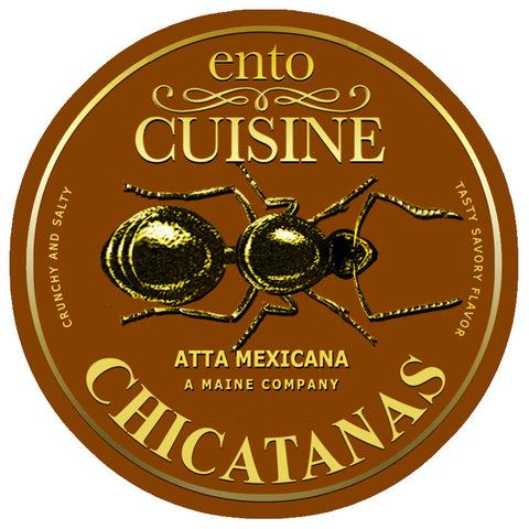 Chicatanas Imported From Mexico | Edible Insects | Edible Bugs