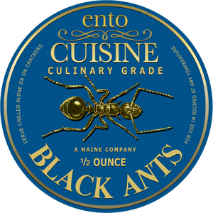 Culinary Quality Black Ants | Edible Insects | Bugs You Can Eat