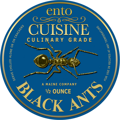 Culinary Quality Black Ants | Edible Insects | Bugs You Can Eat