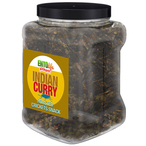 Indian Curry Flavored Cricket Snack - Pound Size