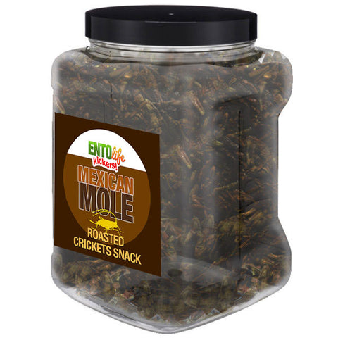 Mexican Mole Flavored Cricket Snack - Pound Size