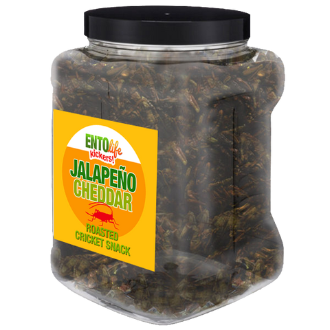 Jalapeno Cheddar Flavored Cricket Snack - Pound Size