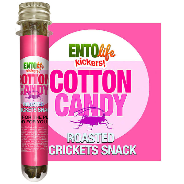 Mini-Kickers Set: Sweet Flavored Roasted Cricket Snacks