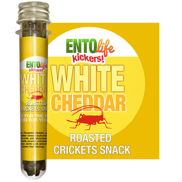 Full Set of 10 Mini-Kickers Flavored Cricket Snacks | Edible Insects | Bugs You Can Eat