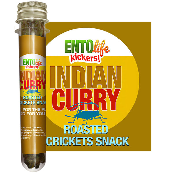 Full Set of 10 Mini-Kickers Flavored Cricket Snacks | Edible Insects | Bugs You Can Eat