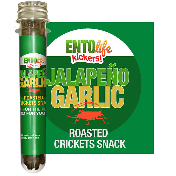 Mini-Kickers Set: Spicy Flavored Roasted Cricket Snack