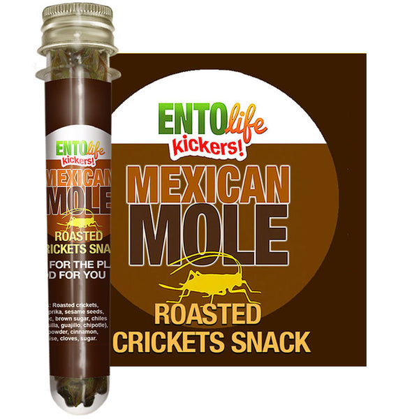 Mini-Kickers Set: Spicy Flavored Roasted Cricket Snack