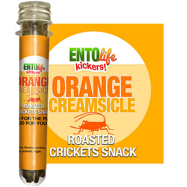 Mini-Kickers Set: Sweet Flavored Roasted Cricket Snacks