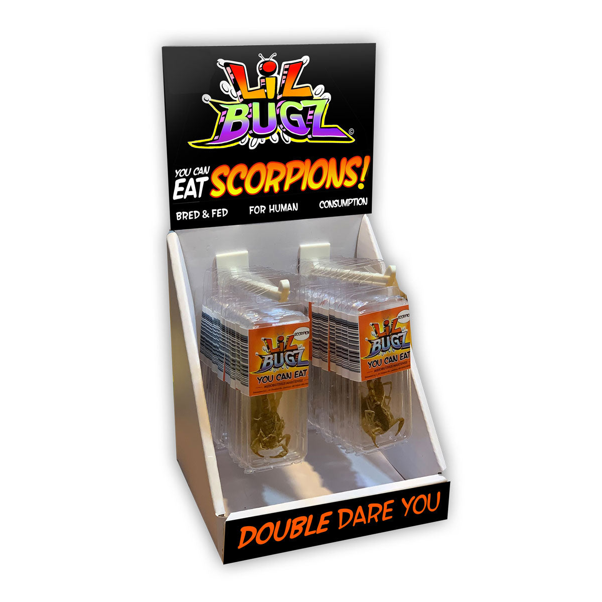 Lil Bugz Scorpion Retail Display with 24 Scorpion Packs