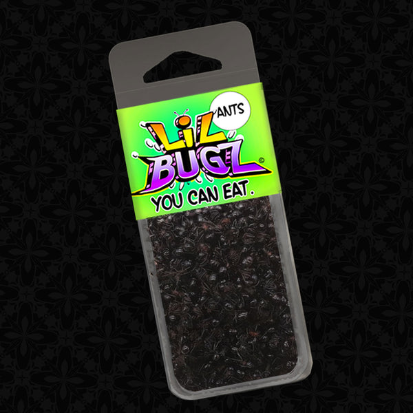Lil Bugz You Can Eat 4 Pack | Edible Insects | Scorpion - Black Ants - Superworms - Crickets
