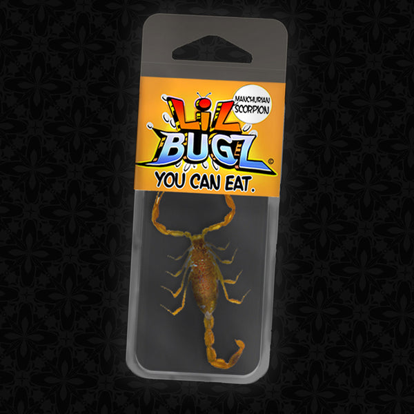 Lil Bugz You Can Eat 4 Pack | Edible Insects | Scorpion - Black Ants - Superworms - Crickets