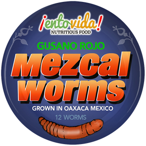 Mezcal Worms - Chinicuil Gusano