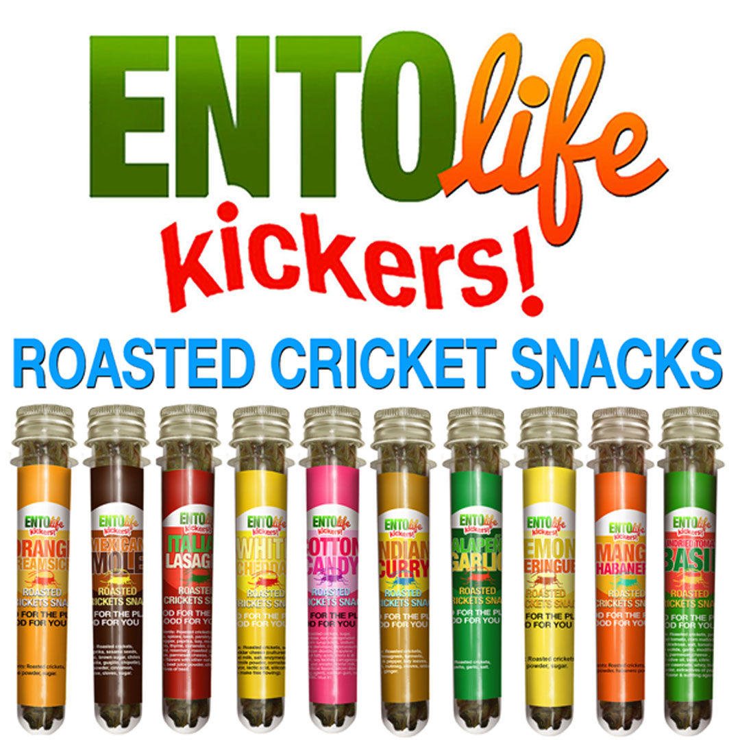 Full Set of 10 Mini-Kickers Flavored Cricket Snacks | Edible Insects | Bugs You Can Eat