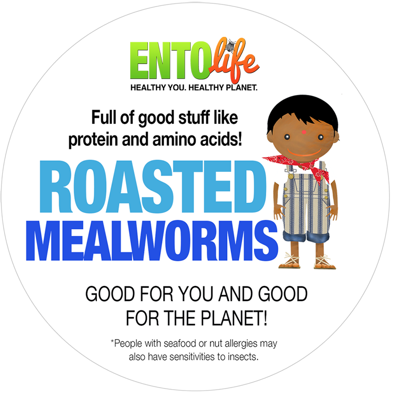 Whole Roasted Mealworms - 1 Pound