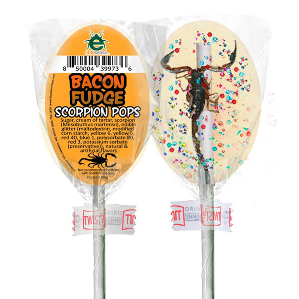 Scorpion Pops | Real Scorpions Encased in a Candy Sucker | Bacon Fudge