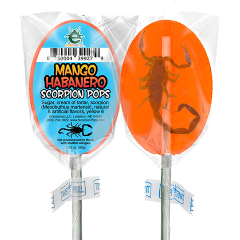 Scorpion Pops | Real Scorpions Encased in a Candy Sucker | Mango Habanero